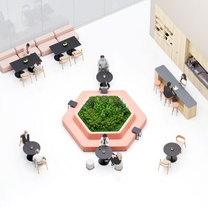 workspace socialize