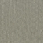 G1 Molly Taupe