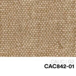 01 NEW CALIC CAC842 01