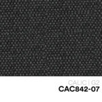 03 NEW CALIC CAC842 07