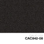 04 NEW CALIC CAC842 08