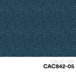 05 NEW CALIC CAC842 05