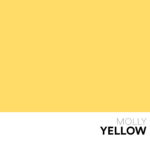 05 NEW Frame MOLLY Yellow