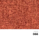 07 NEW AMI 066