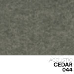 07 NEW Acoustic 044 Cedar