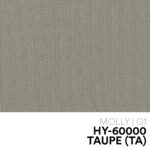07 NEW MOLLY HY 60000 TAUPE(TA)