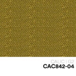 08 NEW CALIC CAC842 04