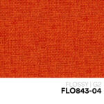 10 NEW FLOSSY FLO843 04