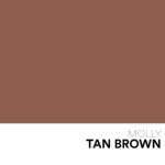 11 NEW Frame MOLLY Tan Brown