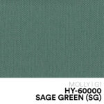 12 NEW MOLLY HY 60000 GREEN(SG)