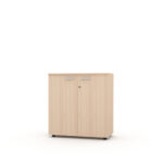 Multi Wooden Cabinet 04