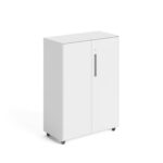 Shelf Swing Door Cabinet