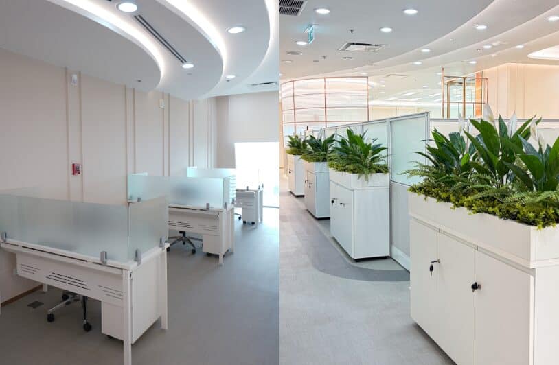 Innovative Food and Beverage (Thailand) Company Limited 4
