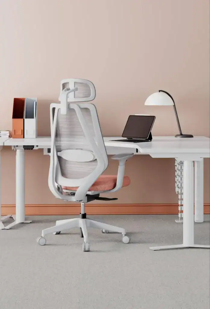 วิธีเลือกเก้าอี้สำนักงานและ Ergonomic Chair